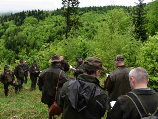 Nový zákon o Slovenskej lesníckej komore (III. časť): Vysvetlenie o osvedčeniach k trom lesníckym odbornostiam