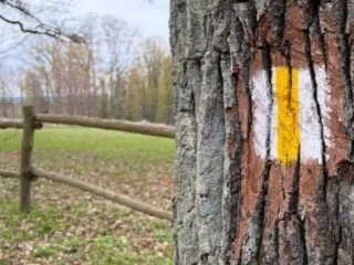 Lesy ČR použili v Slavickej obore vlastné značky pre návštevníkov lesa: Podľa Klubu českých turistov porušili všetky pravidlá