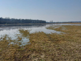 Lesy ČR simulujú niekdajšie jarné záplavy: Lužným lesom svedčia, dopĺňajú zásoby podzemnej vody