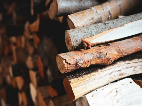 TÝŽDŇOVKA: Kontroverzný príbeh EUDR pokračuje ďalším odkladom. Ako rešpektujú poslanci odborné argumenty a prečo nie je účasť vo voľbách všeobecnou povinnosťou, ale osobnou zodpovednosťou