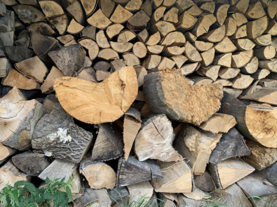 LESY SR rozširujú ponuku palivového dreva pre domácnosti: Štiepané i neštiepané, cenovo zvýhodnená samovýroba