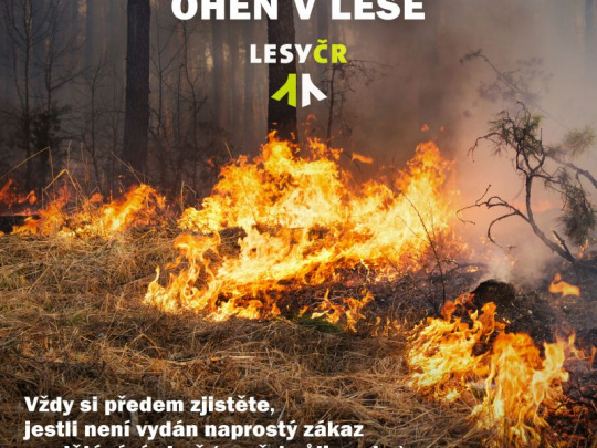 Lesy ČR posilnili protipožiarne hliadky v lesoch: Zvýšené riziko vzniku požiarov kvôli vysokým teplotám a silnému vetru