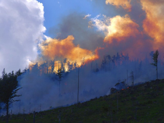 Podľa vedcov má klimatická zmena vplyv na šírenie a rozsah požiarov: Za 23 rokov došlo k zvýšeniu emisií z horiaceho lesa až o 60 percent