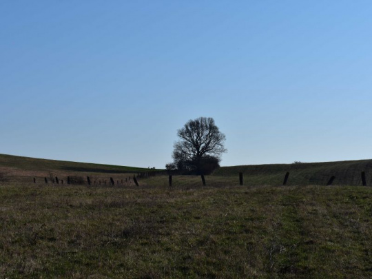 V systéme pozemkových úprav majú nastať zmeny: Prekážkou efektívnejšieho vykonávania je aj organizácia štátnej správy