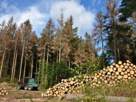 Lesnícky výskum: Využitie pravidelných hlásení vlastníkov lesov o spracovaní kalamitného smrekového dreva pri predpovedaní celoročného objemu