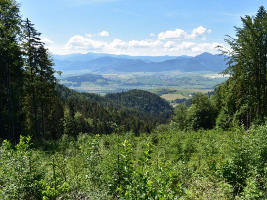 Výzva vlastníkov lesov adresovaná českej vláde: Zachovajte samostatné finacovanie poľnohospodárstva, lesníctva a rozvoja vidieka