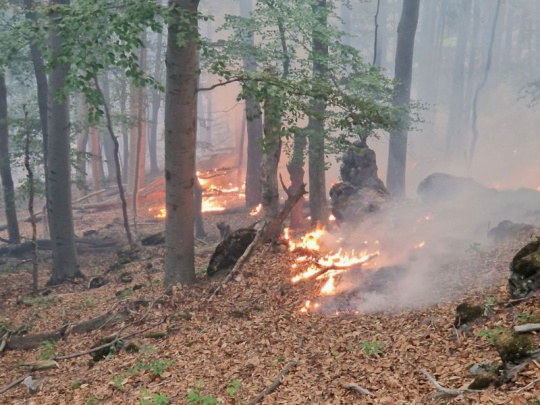 Požiar v Dobročskom pralese: Šíri sa v ťažko dostupnom teréne aj koreňovým systémom