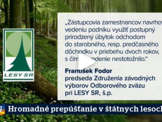 Odborári o hromadnom prepúšťaní v najväčšom lesníckom podniku: Výpovede mali byť až posledným krokom