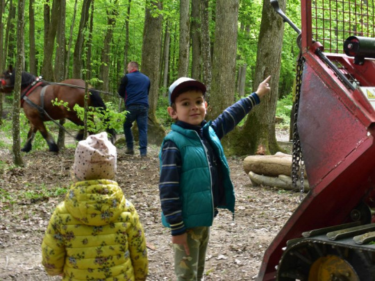 TÝŽDŇOVKA: Na košickom lesníckom dni ťahali drevo živý i železný kôň. Deti boli nadšené, ukážky zaujali aj rodičov. Príbeh lesa treba dopovedať