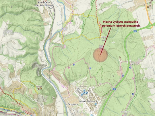 Mestské lesy Košice upozorňujú verejnosť na zásahy v lesných porastoch: Odstraňovanie následkov snehovej kalamity a plánovaný výrub poškodených a nebezpečných stromov